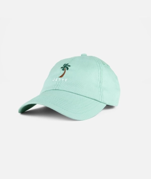 Pindo Dad Cap - Sage