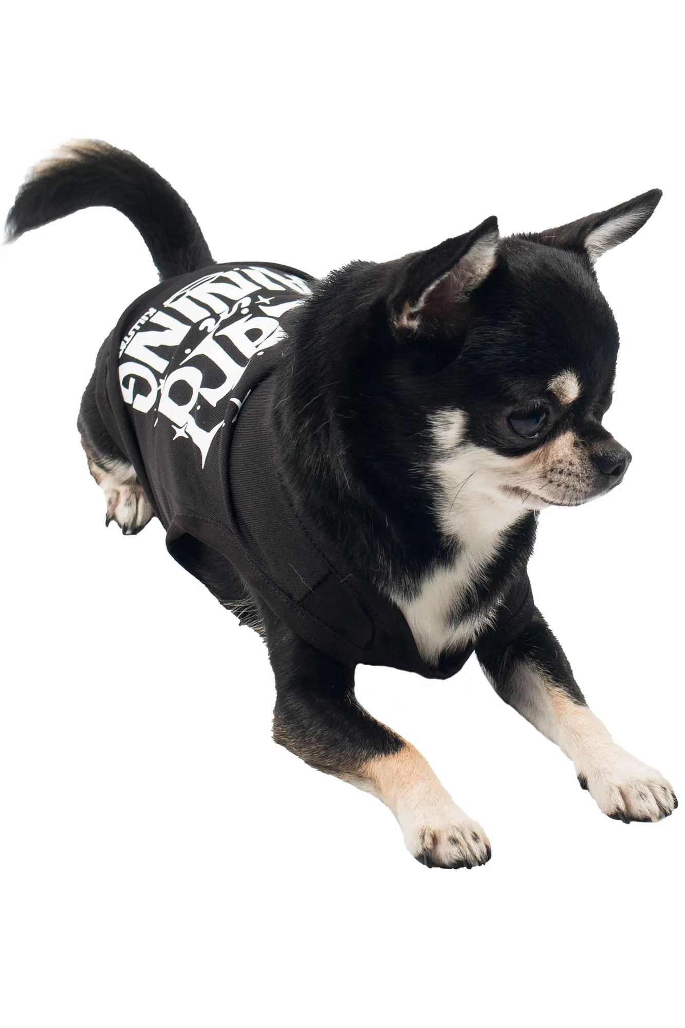 Wizard In Training Pet Vest - Resurrect